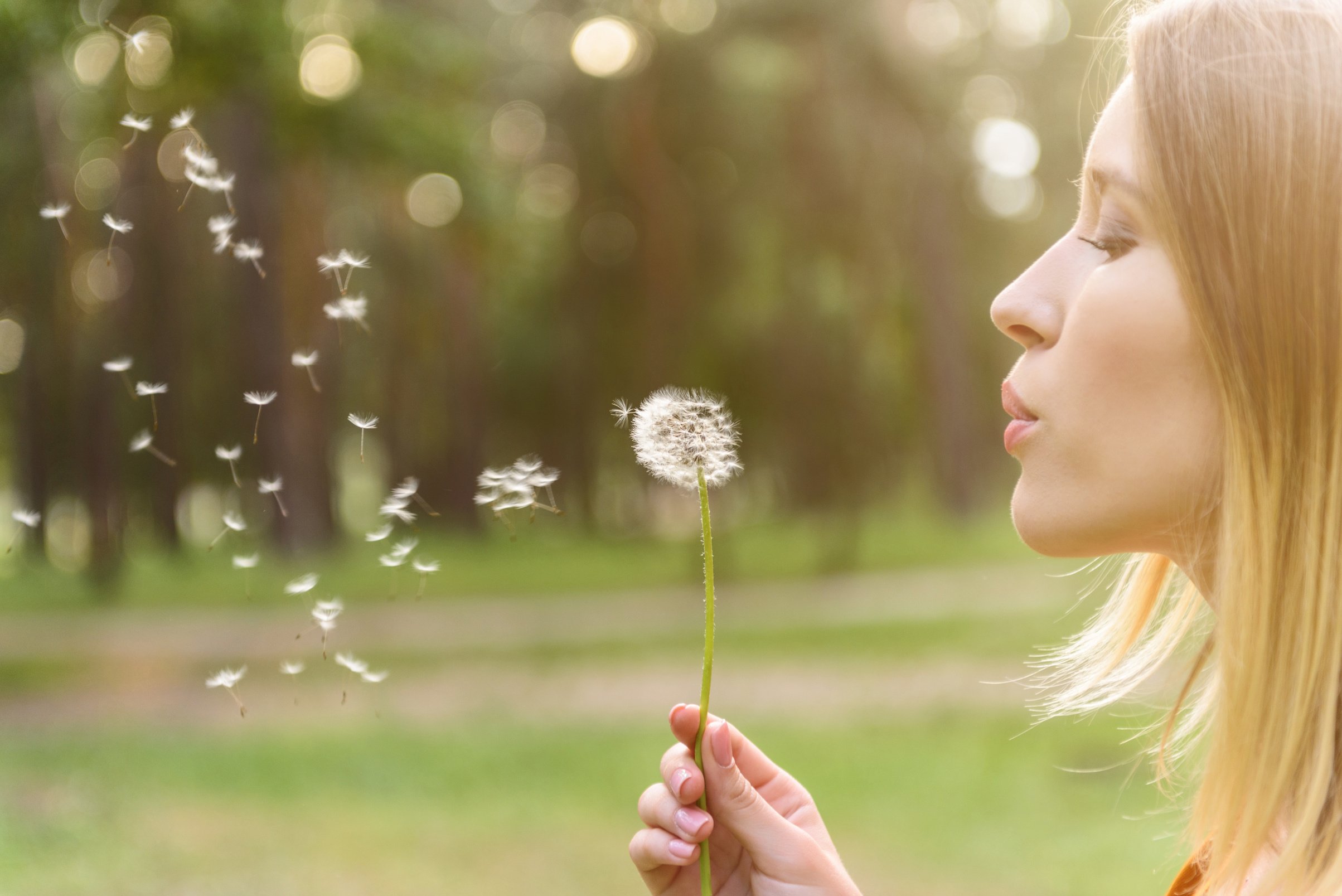 Cute girl playing with blowball